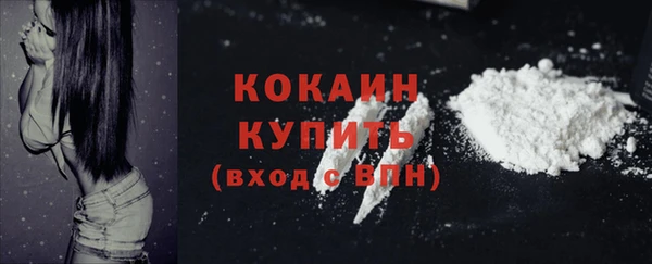 кокс Алексин