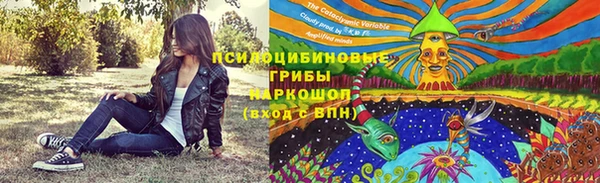 не бодяженный Алзамай