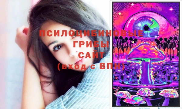 гашиш Абаза